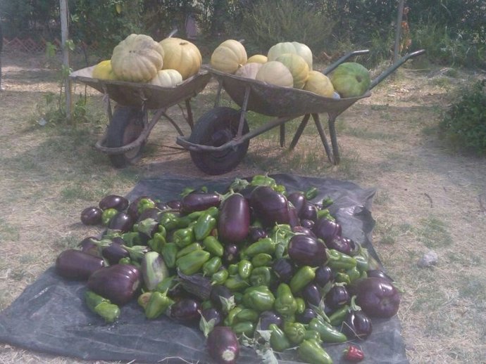 Los alimentos donados