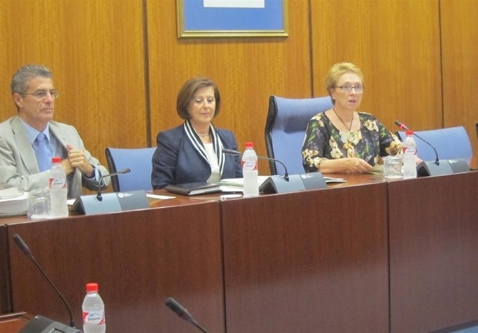 La consejera de Igualdad, Salud y Políticas Sociales en comisión parlamentaria