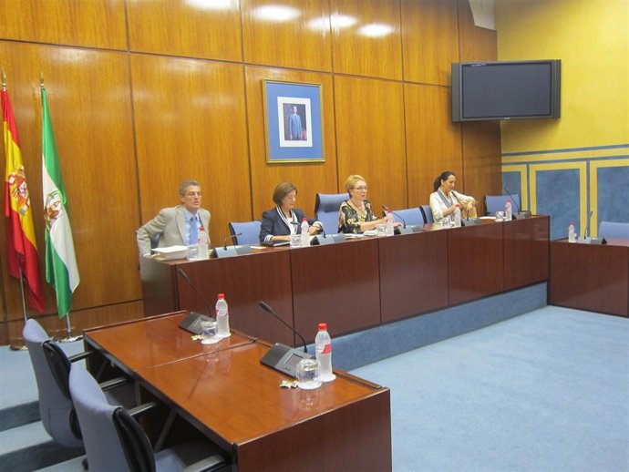 La consejera de Igualdad, Salud y Políticas Sociales en comisión parlamentaria