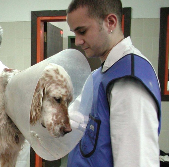 Uno de los alumnos de la anterior edición del curso de Auxiliar Veterinario 