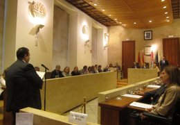 El presidente de AESCO interviene en el Pleno del Ayuntamiento
