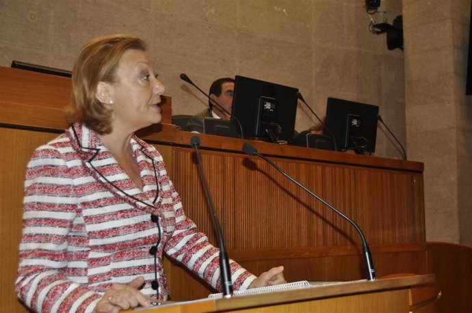 La presidenta del Gobierno de Aragón, Luisa Fernanda Rudi.