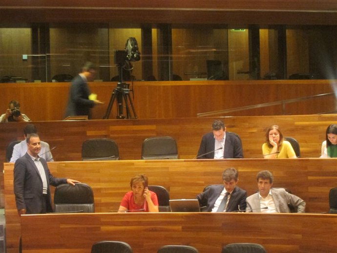 Pleno de la Junta General