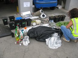 Dos detenidos en Lora del Río (Sevilla) por cultivar marihuana