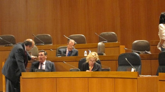 El consejero Oliván en la sesión plenaria de las Cortes.