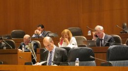 Rafael Fernández de Alarcón este viernes en las Cortes