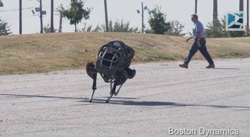 WildCat, un robot cuadrúpedo todoterreno que corre que se las pela