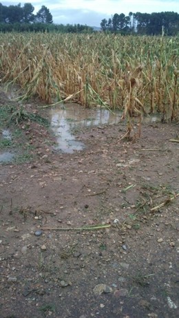 Tormentas de esta madrugada.