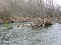 Imagen del temporal de enero en Galicia