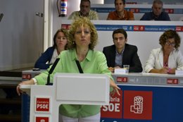 Comité regional PSC-PSOE