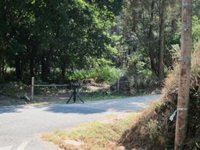 "Gran parte" de los medios siguen la estela de programas sensacionalistas