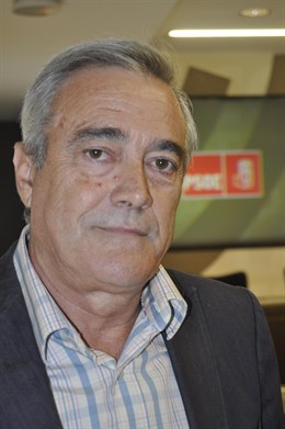 El portavoz del PSOE en las Cortes, Javier Sada