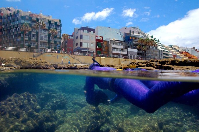 Fotosub Las Palmas de Gran Canaria