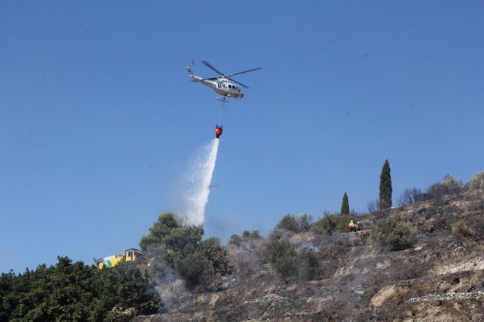 Un incendio calcina 3.000 metros cuadrados en La Herradura