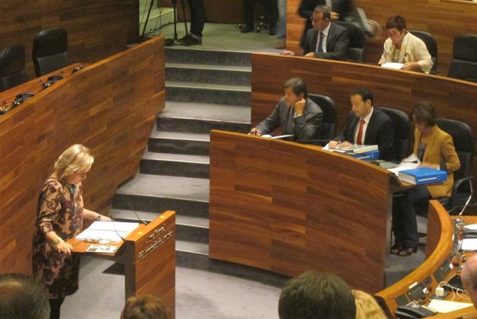 Mercedes Fernández, durante su intervención en el pleno.