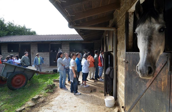 Jornada de convivencia con caballos