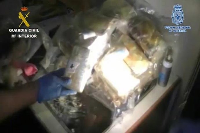 ORGANIZACIÓN TRÁFICO COCAÍNA
