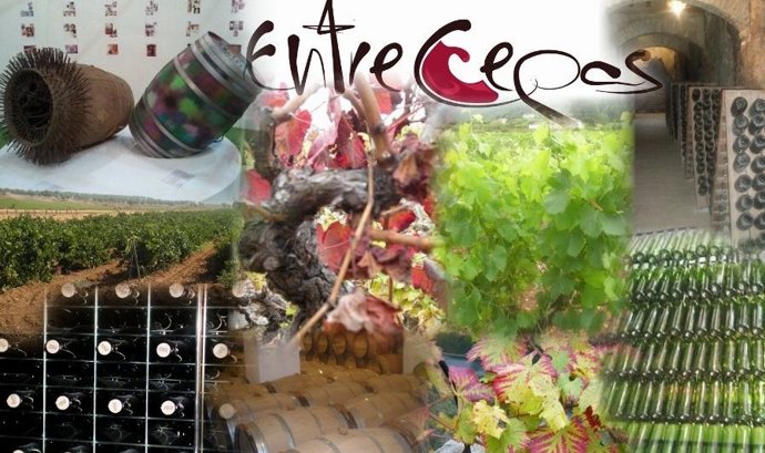 Cursos de Cocina Entre Cepas