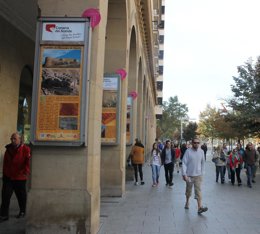 La DPZ promociona la Comarca del Aranda en el Paseo Independencia de Zaragoza