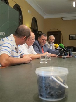 Presentación de los ajos negros