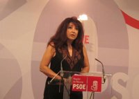 PSOE pide a Sevilla que exija a las concesionarias de autobuses que "cumplan con los servicios que tienen contratados"