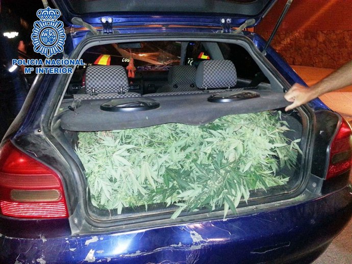 Marihuana robada encontrada en el maletero del coche
