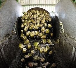 Imagen de recepción de remolacha