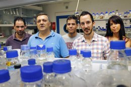 Gupo de investigadores de la UPO