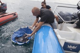 Miguel, el vecino que cuidó la raya herida, en la suelta del ejemplar.
