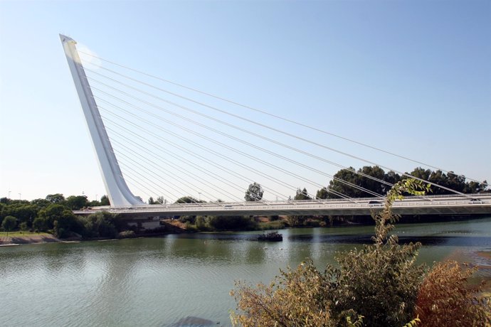 El puente y el parque del Alamillo.