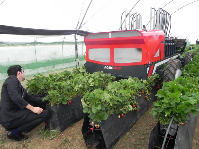 Cosechadora De Fresas De Agrobot. 