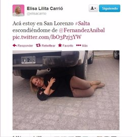 Twitter de la diputada Elisa Carrió