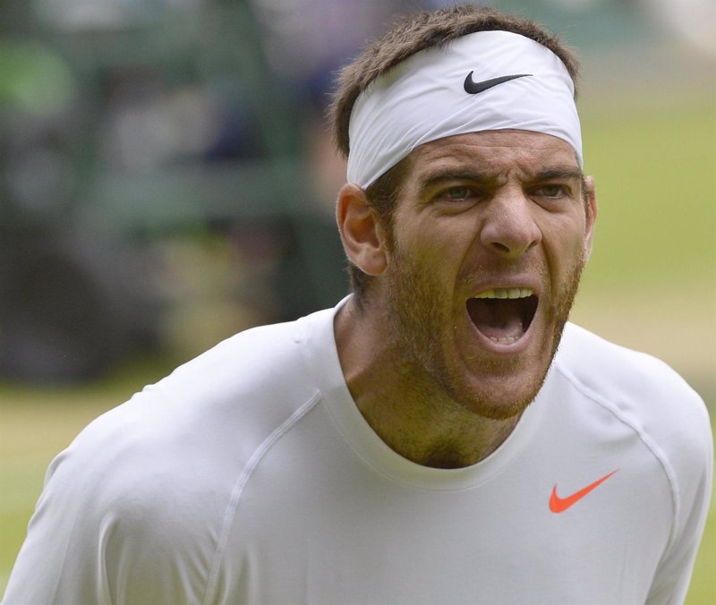 Del Potro pierde con Djokovic la final del Masters de Shanghai