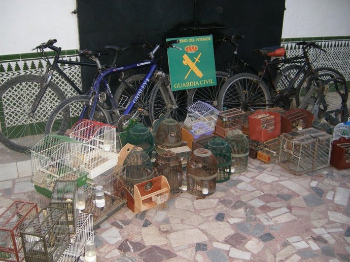 Bicicletas y jaulas intervenidas