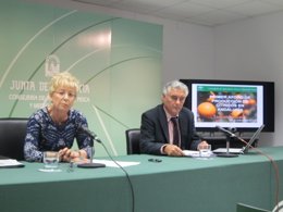 La consejera de Agricultura, Pesca y Desarrollo Rural, Elena Víboras