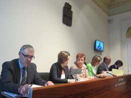 Carcedo (segunda por la izquierda) durante su comparecencia. 