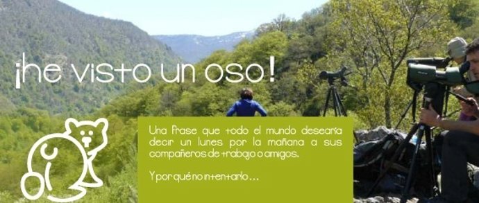 Campaña 'He visto un oso'
