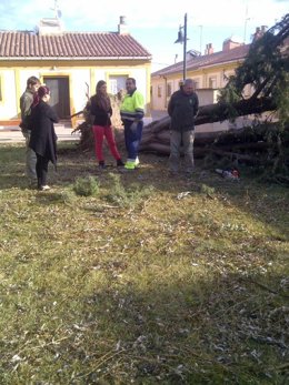 Daños en un campo en Ejea (Zaragoza)