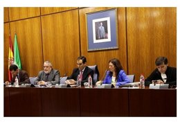 Comisión de Control de la RTVA y sus sociedades filiales