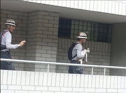 Bomberos rescatan a una gata en Medellín