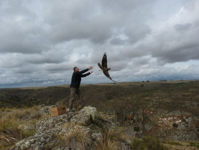 Momento de la suelta del pollo