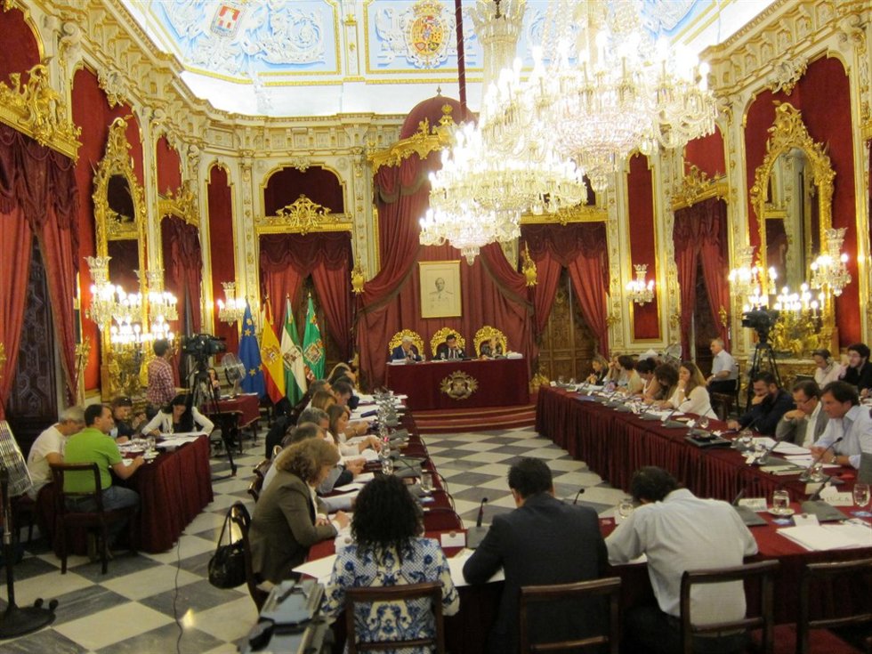 Pleno de la Diputación 