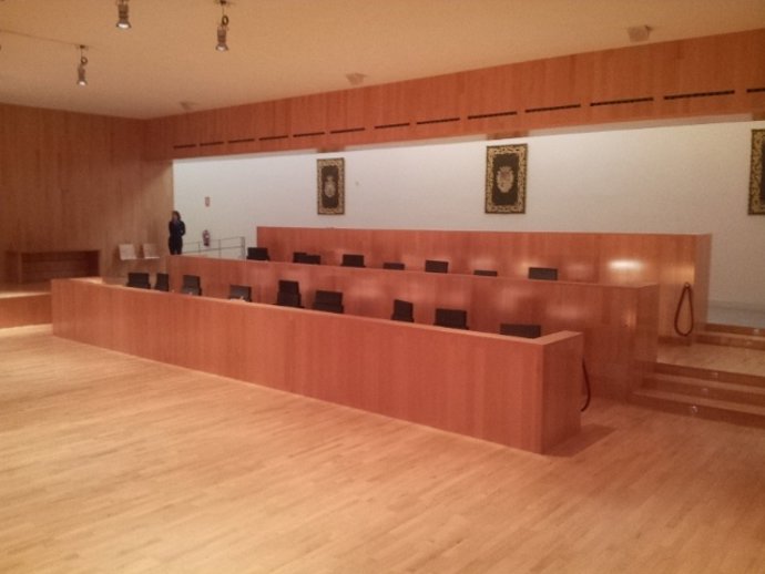 Pleno de la Diputación de Málaga vacío