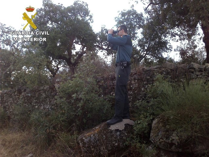 Guardia Civil actuando en la sierra