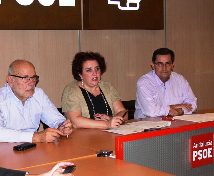 La secretaria provincial del PSOE en Granada, Teresa Jiménez