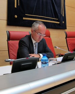 González Mantero en su comparecencia en las Cortes