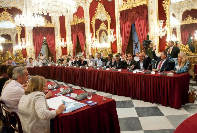 Pleno extraordinario de la Diputación de Cádiz