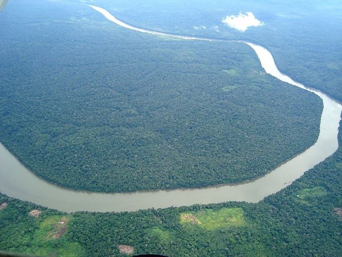 Amazonas
