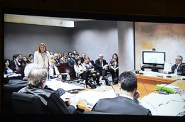 Cospedal en el plasma declarando