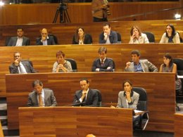 Pleno de la Junta General octubre 2013